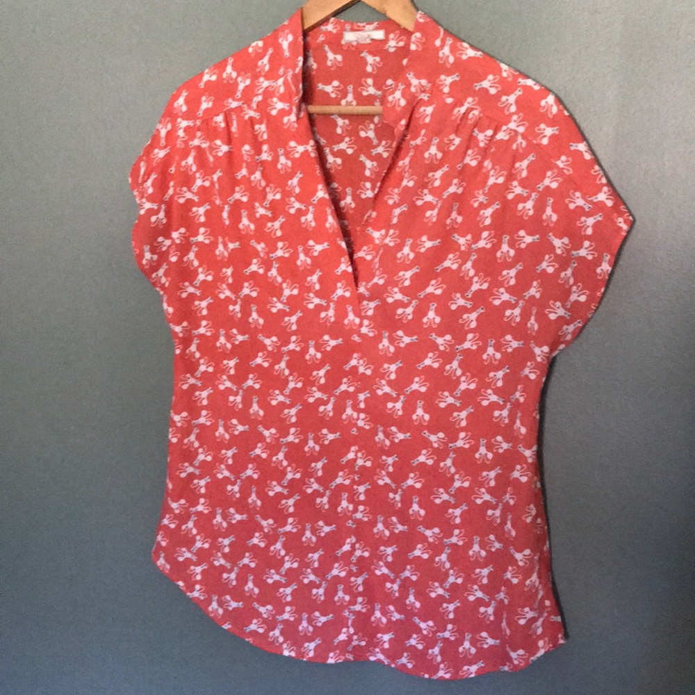 Pleione lobster top